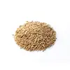 /product-detail/canary-seeds-62002810591.html