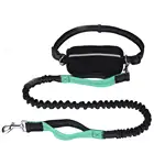 Amazon Top Seller Hands Free Dog Leash , Nylon Reflective Pet Dog Bungee Leash For Dog Running Walking Jogging