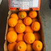 /product-detail/navel-oranges-fresh-premium-quality-for-export-on-30-discount-sale-50045063075.html