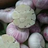 /product-detail/white-common-fresh-garlic-50038137728.html