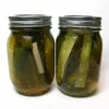 Manufacturer of canned cucumber/ Pickled gherkin in drums or jars (Jenny)