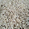 /product-detail/certified-quality-well-cleaned-cashew-nut-w240-w320-w450-for-all-importers-50041995352.html