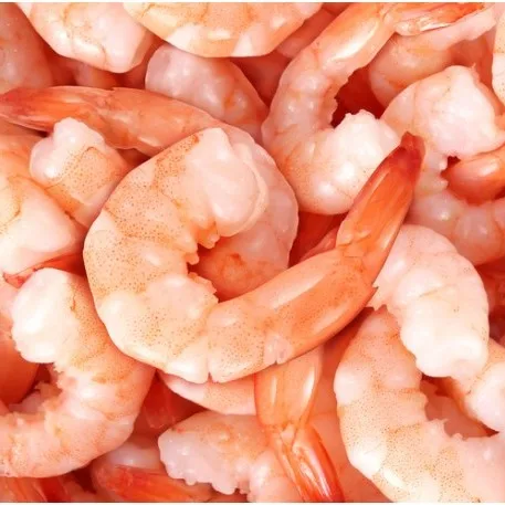 shrimp in vannamei