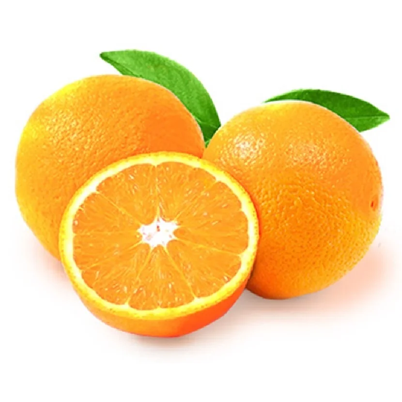 Oragnes Valencia 2.jpg