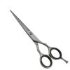Professional High Quality Barber Scissors Stainless Steel Dragon Handle J2 Hair Scissors Salon Shears