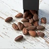 Buy Top Quality Cocoa Beans From Ukraine
