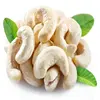 Bulk Suppliers Organic Cashew Nuts exporter and distributors