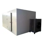 Commercial Tunnel Solar Hot Air Freeze Vacuum Dryer For Fruit And Vegetable