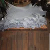 Wholesale Wet Blue Cow Hides and Wet blue Pig skin For Sale
