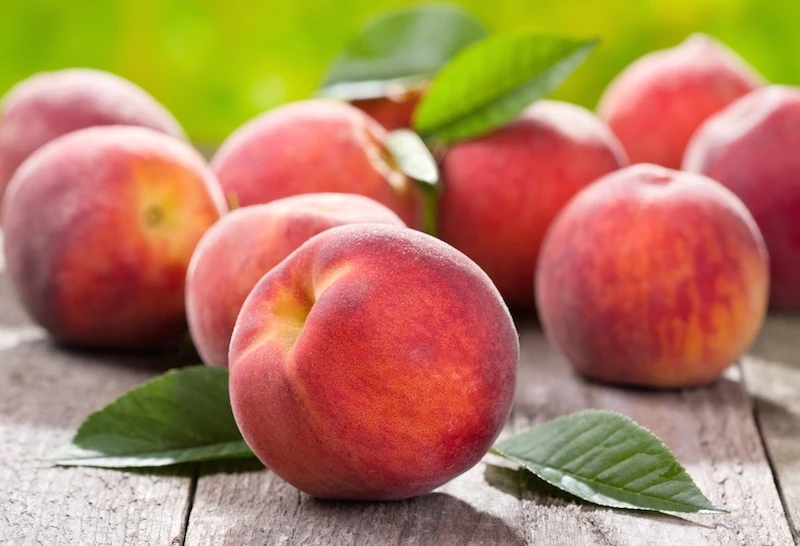 peach red,olive green south africa best supplier fresh peach for sale color red