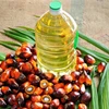 /product-detail/refined-palm-oil-cocunut-oil-vegetable-oil-for-sale-50044522738.html