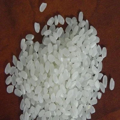 Riz JAPONICA de haute qualité/SUSHI/CALROSE riz rond 5% BROKENS