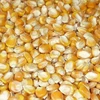 Grade 2 yellow corn