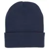 Cuff Beanie Plain Knit Hat Winter Warm Beanie Cap Hats Men Women Wholesale Various Colors Custom Woven Label Knitted Beanie