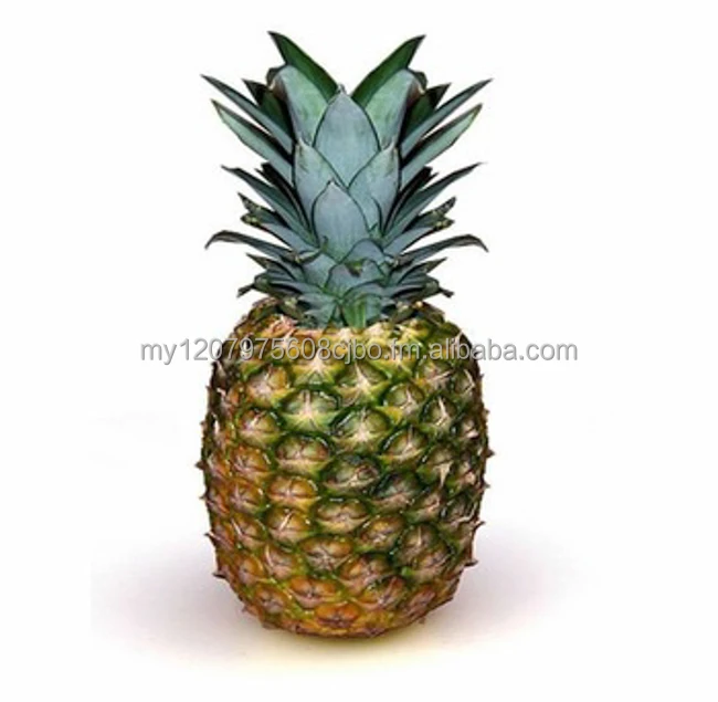 MD2 Pineapple Tropical fruit