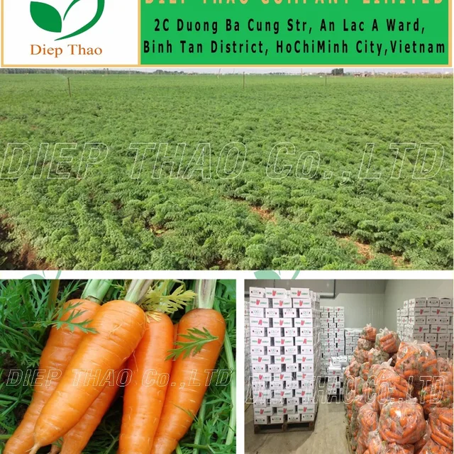 best price fresh carrots