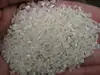 broken rice for feed processing for animal and fish.