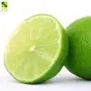 EXCELLENT QUALITY FRESH LIME at CTD Int, VIETNAM