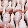 /product-detail/frozen-chicken-and-fresh-chicken-halal-frozen-chicken-drumstick-50035715936.html