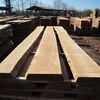 wholesaler of beech , oak , wooden beams, Pine , spruce wood lumber.