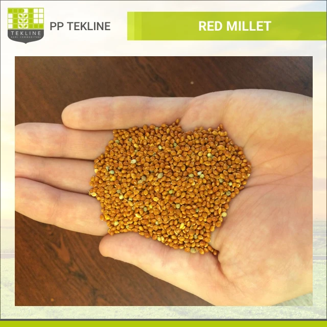 all industries  agriculture  grain  millet  (140535978) our