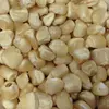 /product-detail/wholesale-yellow-corn-white-corn-maize-for-animal-feed-for-sale-62000650718.html