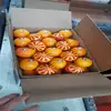 /product-detail/fresh-citrus-mandarine-mandarin-lemon-lime-valencia-navel-oranges-50011392342.html