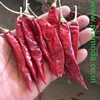 ground red chili pepper manufacturer in India