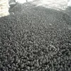 /product-detail/hong-qiang-per-ton-charcoal-fujian-price-in-india-1kg-indonesian-hookah-shisha-coconut-shell-cube-charcoal-briquette-50038370873.html