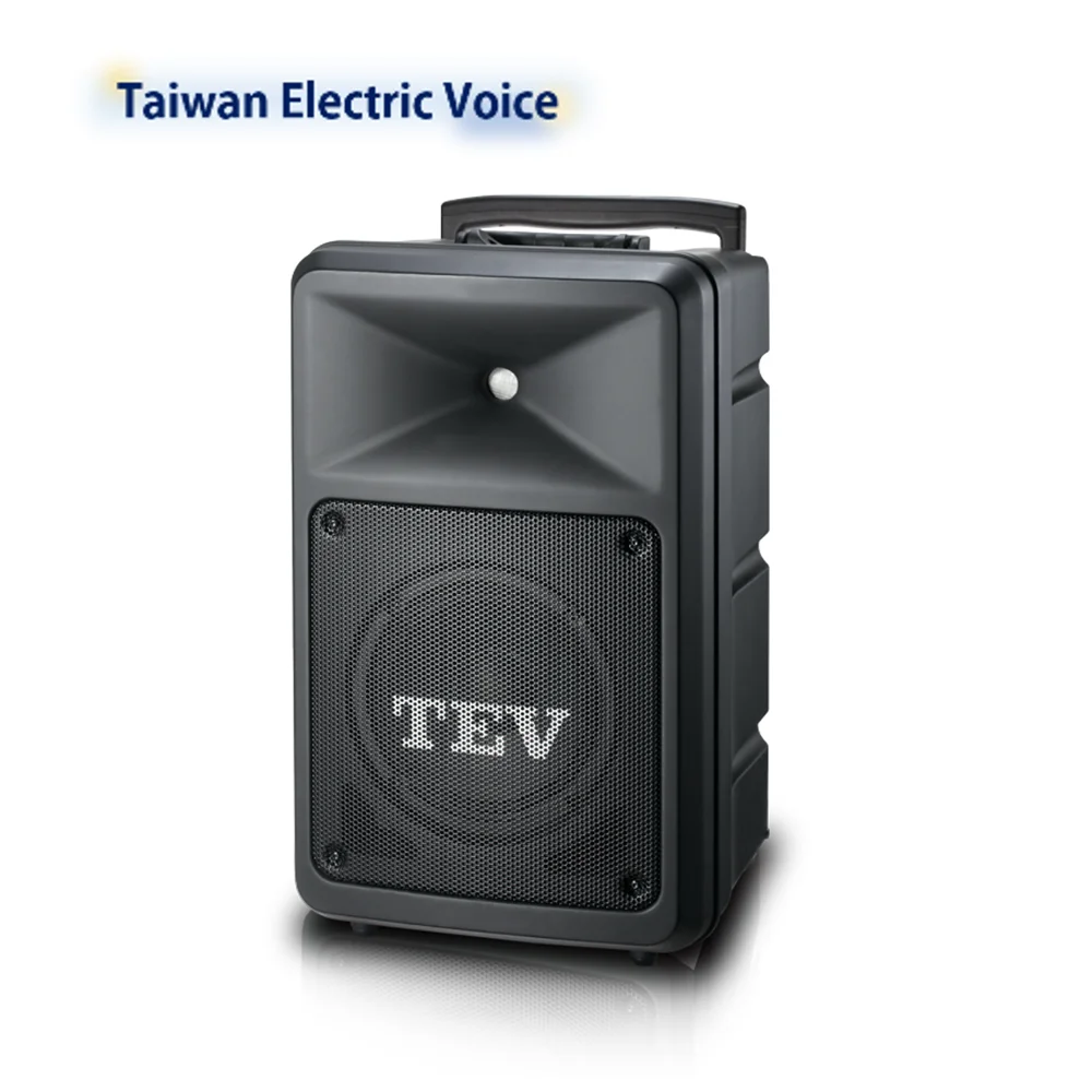 professional outdoor sound system