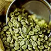 /product-detail/robusta-green-coffee-bean-0084974565715-50045455554.html