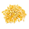 /product-detail/yellow-corn-maize-for-animal-feed-50046989645.html