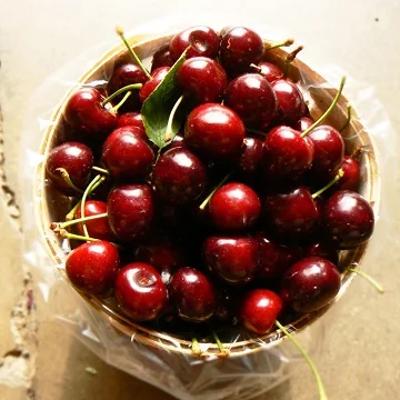 fresh cherries fresh cherry fruit from south africa