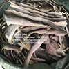 DRIED FISH SKIN FOR MATERIAL FISH GELATIN/ FISH COLLAGEN (JENNY +84 905 926 612)