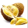 FRESH SWEET Durian fruit