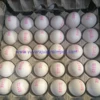 Farm Fresh White Egg From Chennai/Tamilnadu