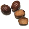 100% Pure Natural Spice Nutmeg Without Shell for Sale