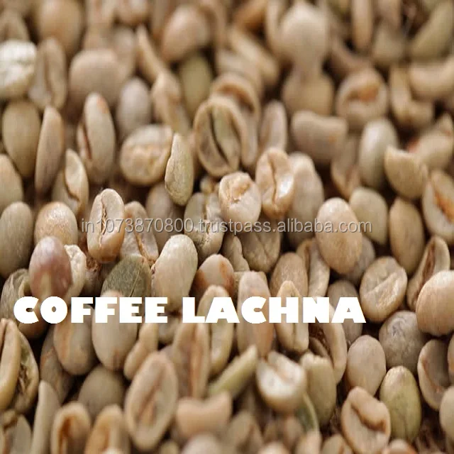 50 KG and 60 KG Bag Indian Origin Ground arabica coffee beans specifications