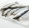 /product-detail/frozen-pilchard-fish-price-for-sale-62005666781.html