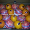 Our Market : Maladives , Englad , Russia , China , Bangladish , Europe Market and all of world we supply them oranges as fruit