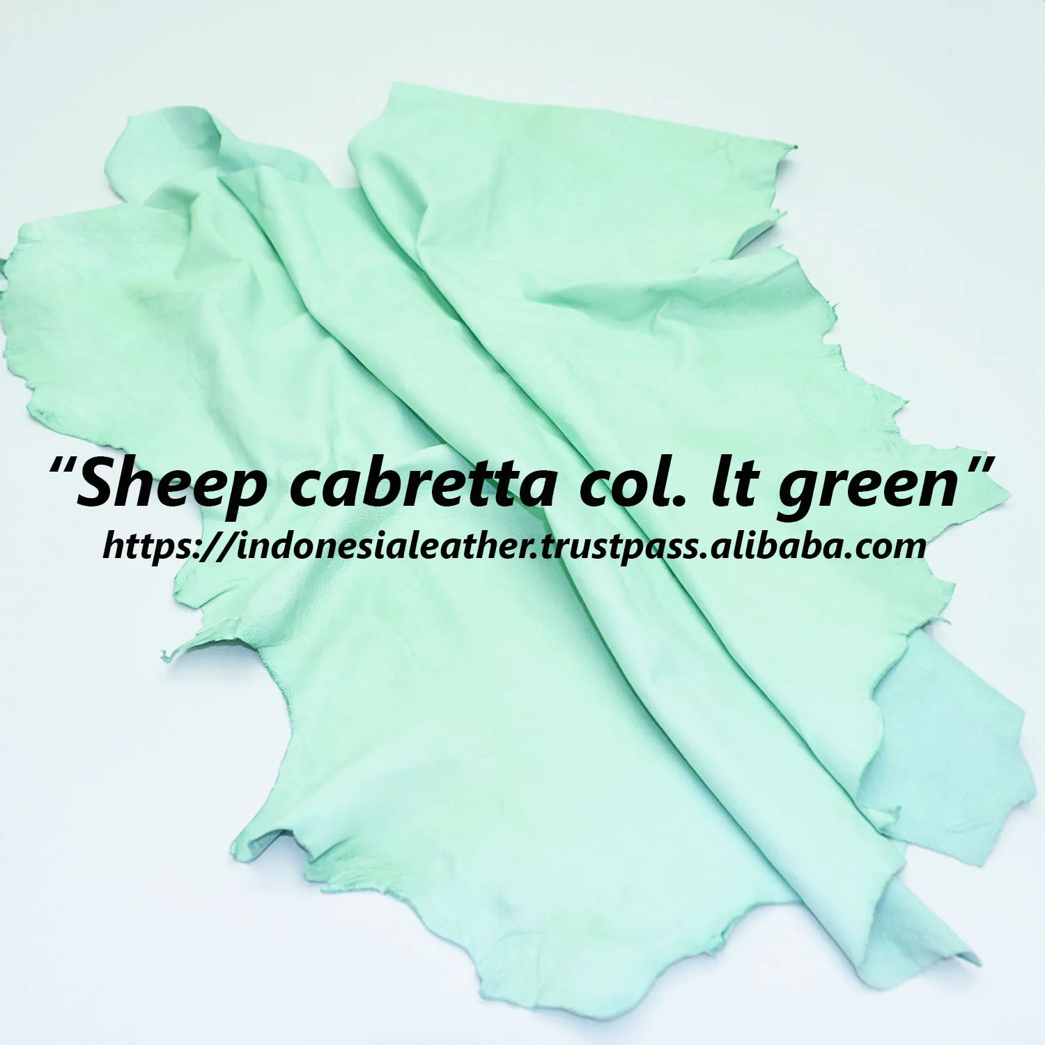 Sheep Cabretta Col.LtGreen.jpg