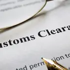 CUSTOMS CLEARANCE IN RUSSIA