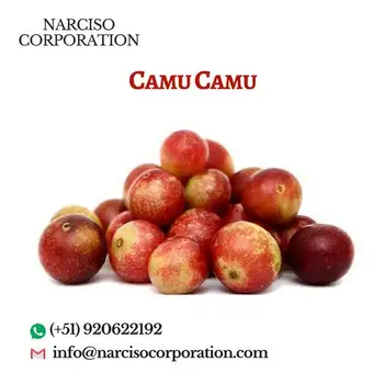 organic camu camu capsules