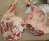 /product-detail/cheap-fresh-goat-meat-halal-goat-meat-frozen-goat-meat-grade-aa-cheap-price-50035104336.html