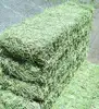 /product-detail/best-quality-alfalfa-hay-alfalfa-pellets-alfalfa-cubes-50045895404.html