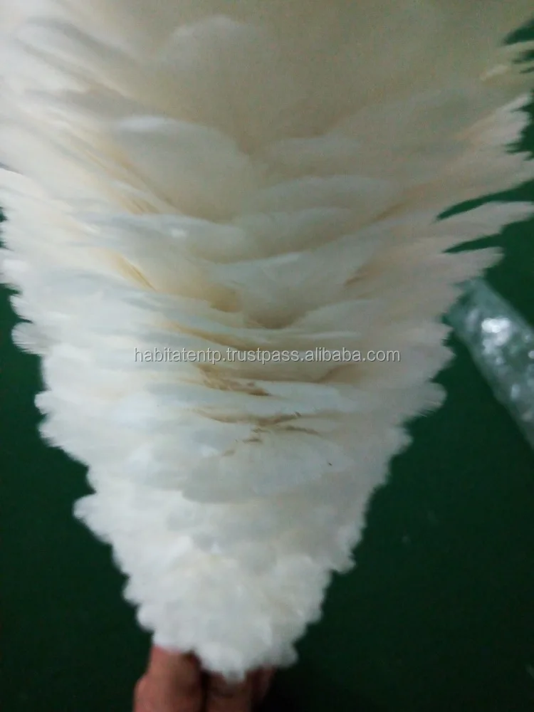 factory wholesale bulk plume hackle directly dyed hackle