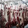 Fresh Frozen Cow/Lamb Beef Without Bones/Body Part Boneless Beef For Export