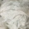 Cottonized linen fiber