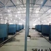 /product-detail/recirculating-aquaculture-system-equipments-for-fresh-salt-water-indoor-fish-farming-62017213373.html