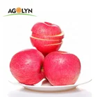 AGOLYN high quality delicious fresh sweet Qinguan Apple